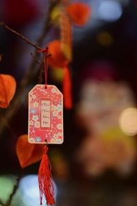 tài xỉu Nohu